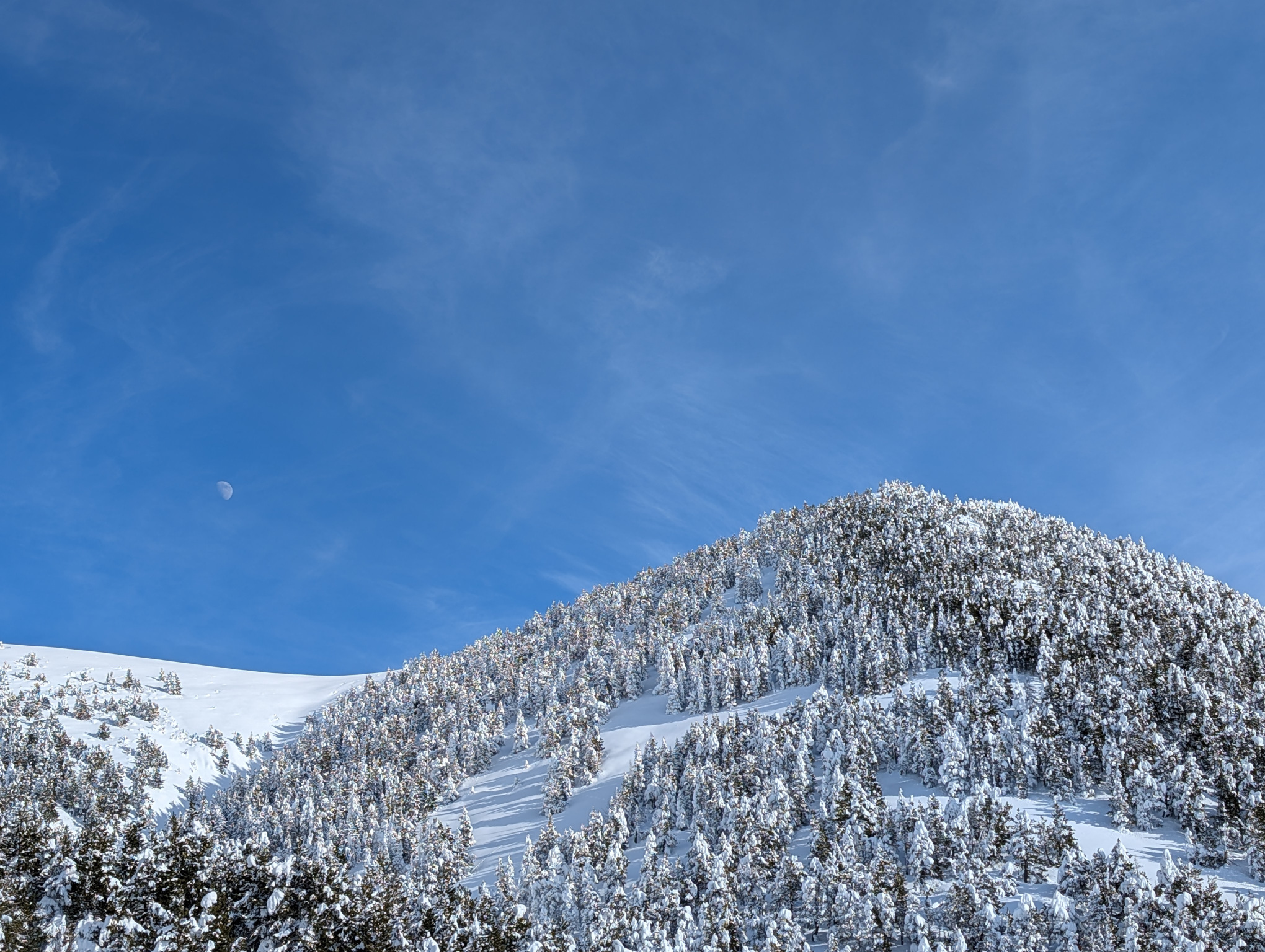 Snow-caped mountains